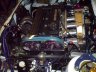 evo-05.jpg