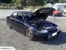 128795448full1.jpg