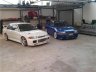 evo20wit20402.jpg